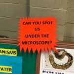 Atomic Kids Display Microscope